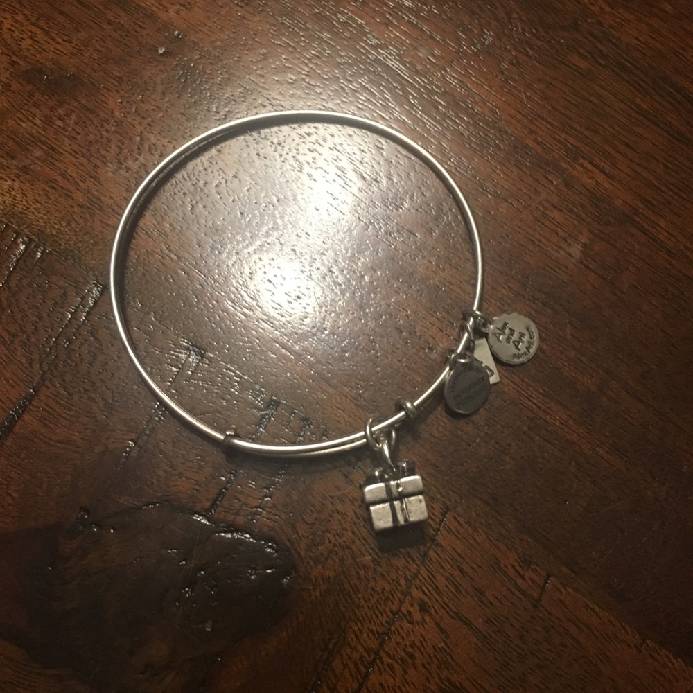 Alex and Ani gift charm bracelet